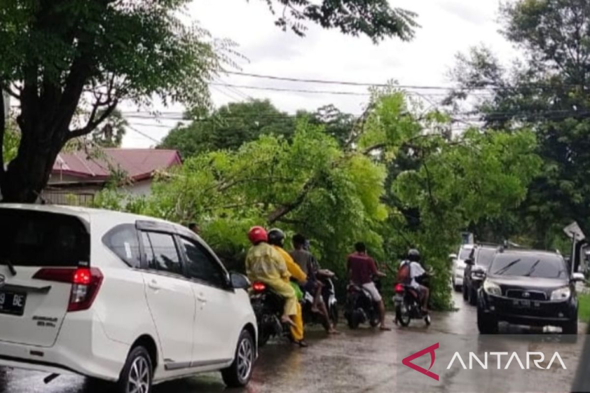 BMKG bilang waspadai hujan-petir di NTT akibat kemunculan daerah siklonik