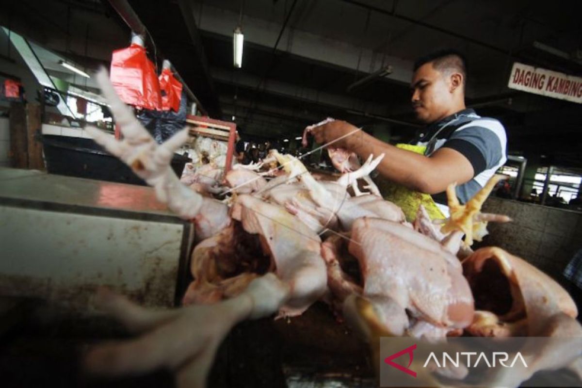 Tiket pesawat dan ayam ras  penyumbang inflasi Sumbar pada Mei 2022