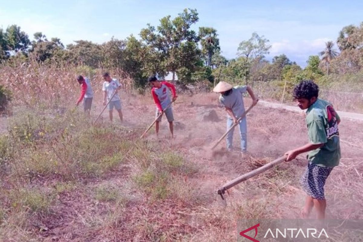 BMKG bilang waspadai karhutla di tiga daerah di NTT