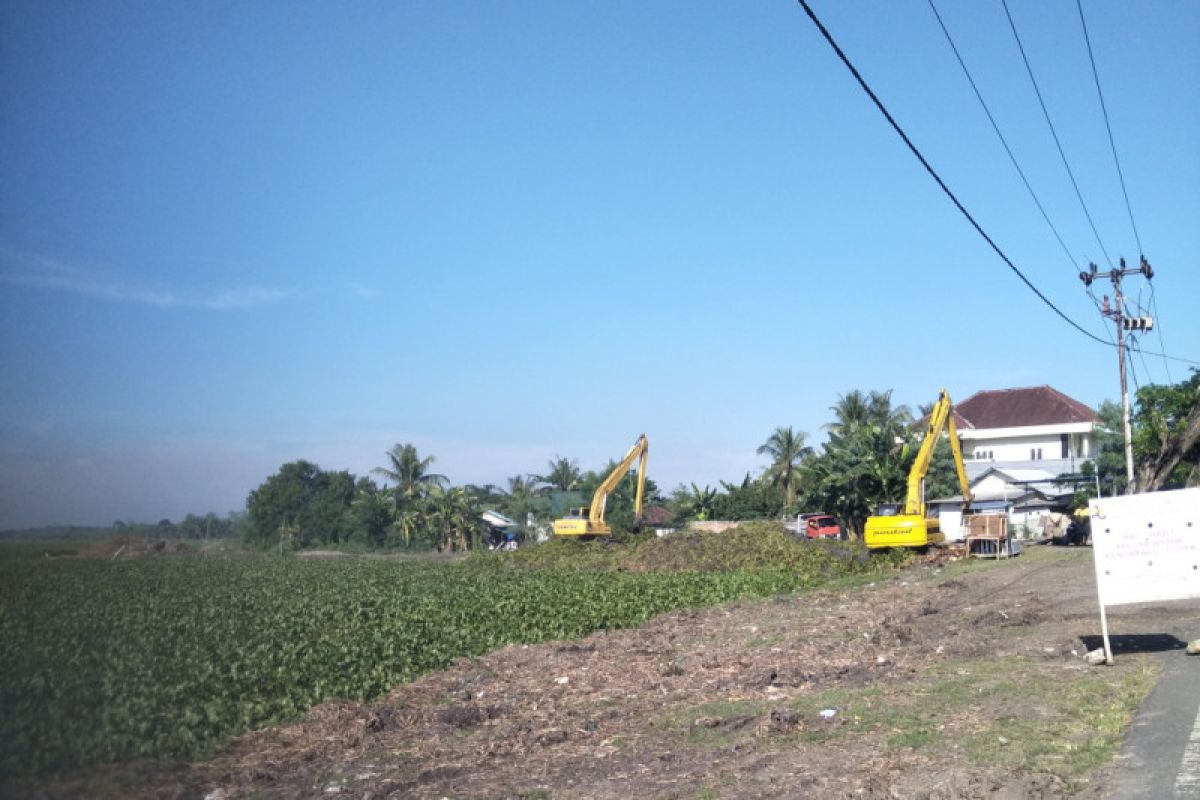 Pertumbuhan eceng gondok di Bendungan Batujai cukup cepat