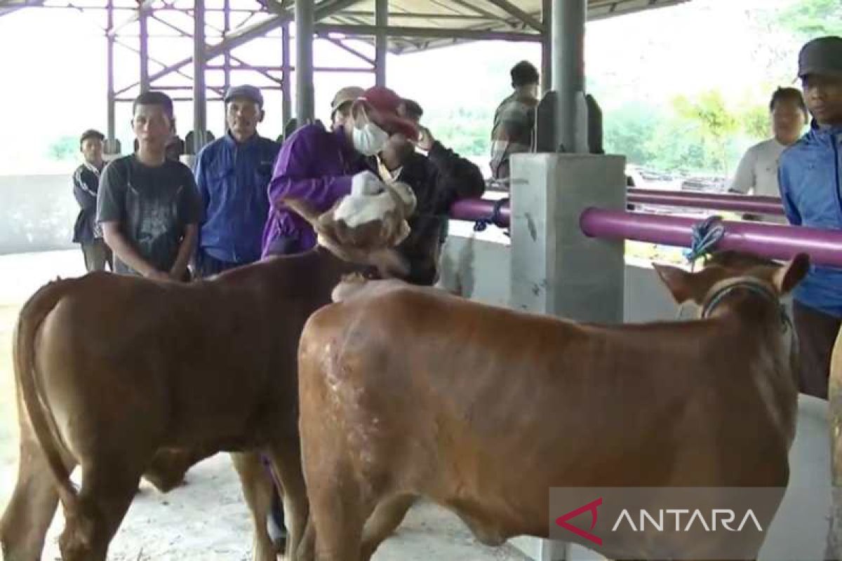 Pemkab Temanggung tutup sementara pasar hewan selama 14 hari