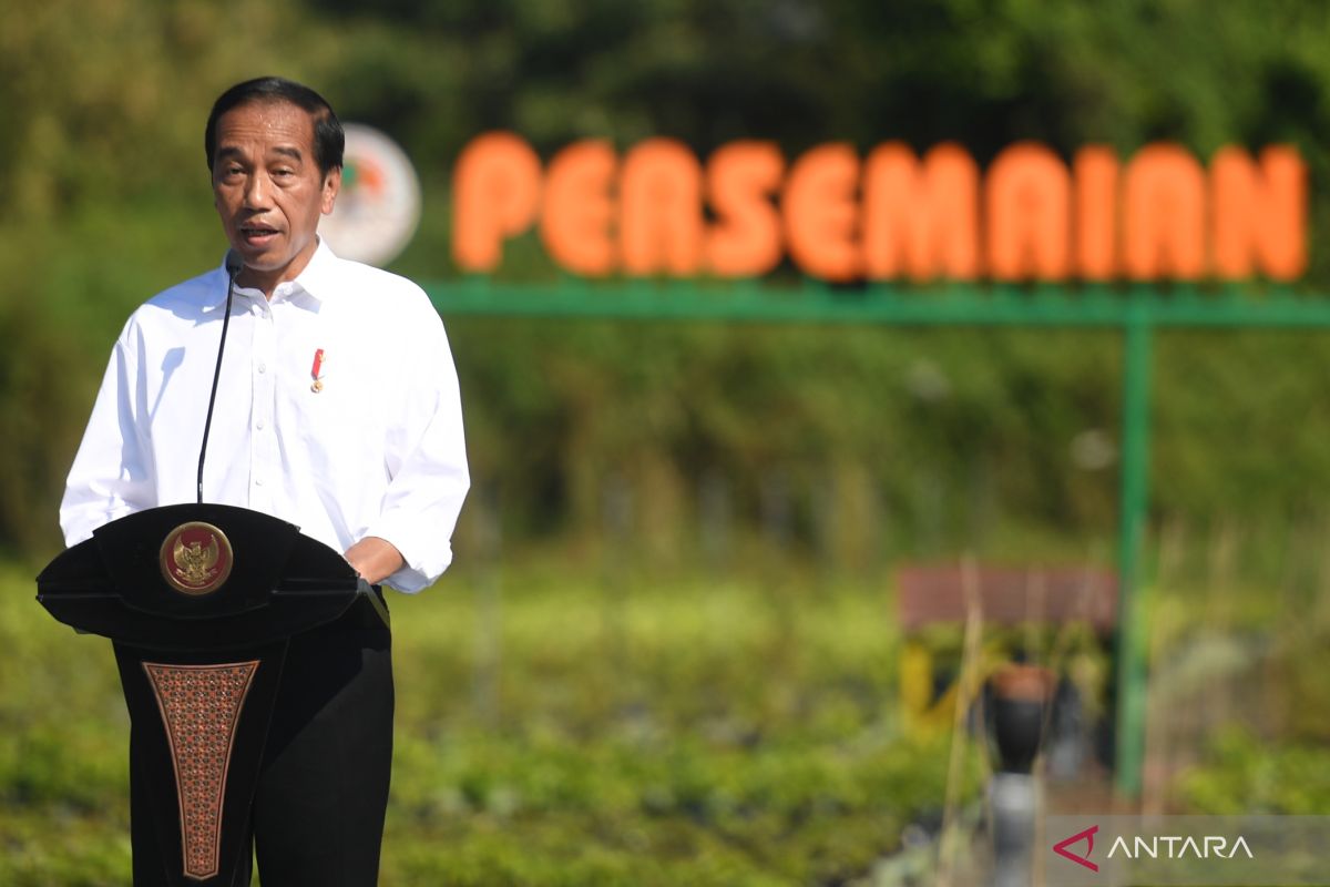 Jokowi sebut Indonesia masih bisa kendalikan inflasi