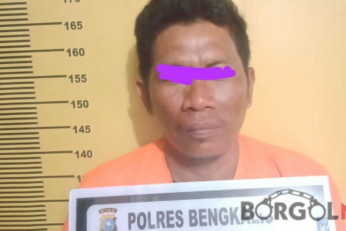 Buron bandar sabu 15 kg diringkus Polres Bengkalis