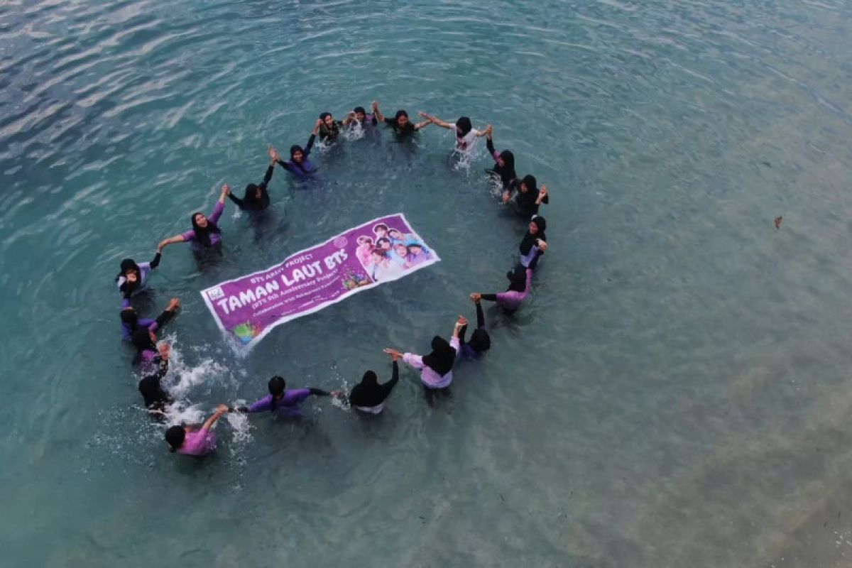 Penggemar BTS transplantasi terumbu karang di laut Lombok Utara