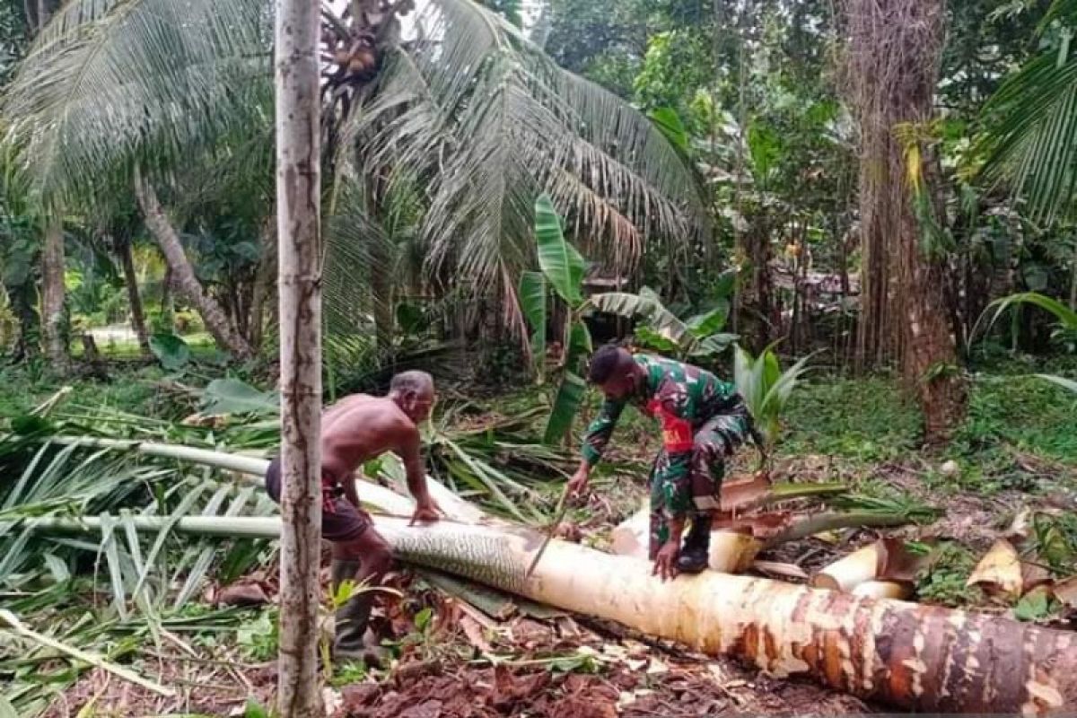 Babinsa Warsa bantu warga mengolah sagu