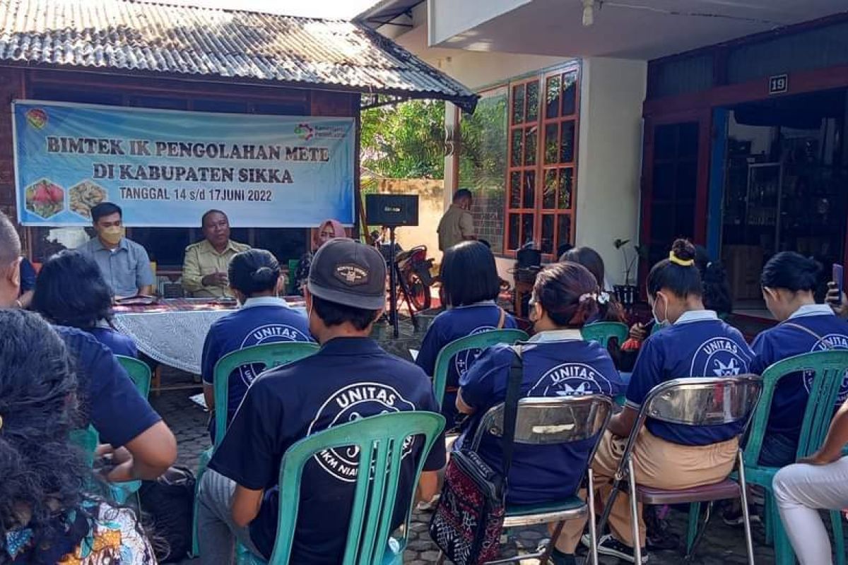 Pemprov NTT latih UMKM Sikka olah komoditas mete