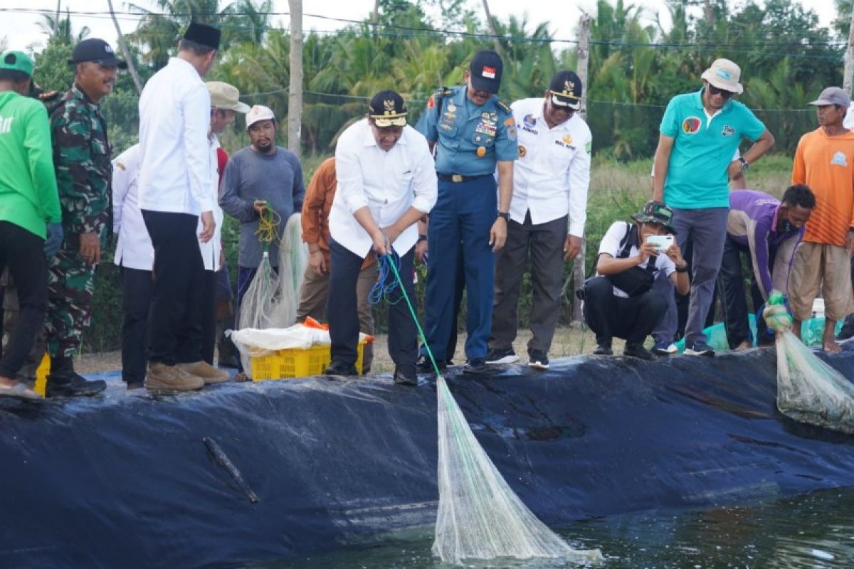 Pemprov Kalteng alokasikan Rp85 miliar kembangkan "shrimp estate"