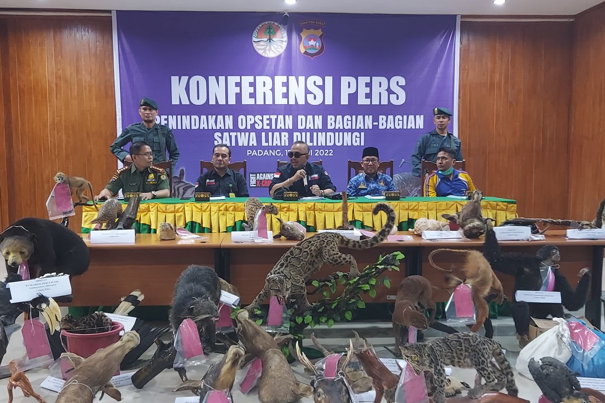 KLHK amankan 30 satwa dilindungi sudah diawetkan