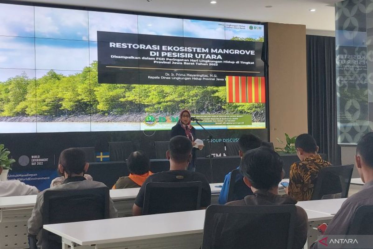 90 persen hutan mangrove di Pantura Jabar dalam kondisi rusak