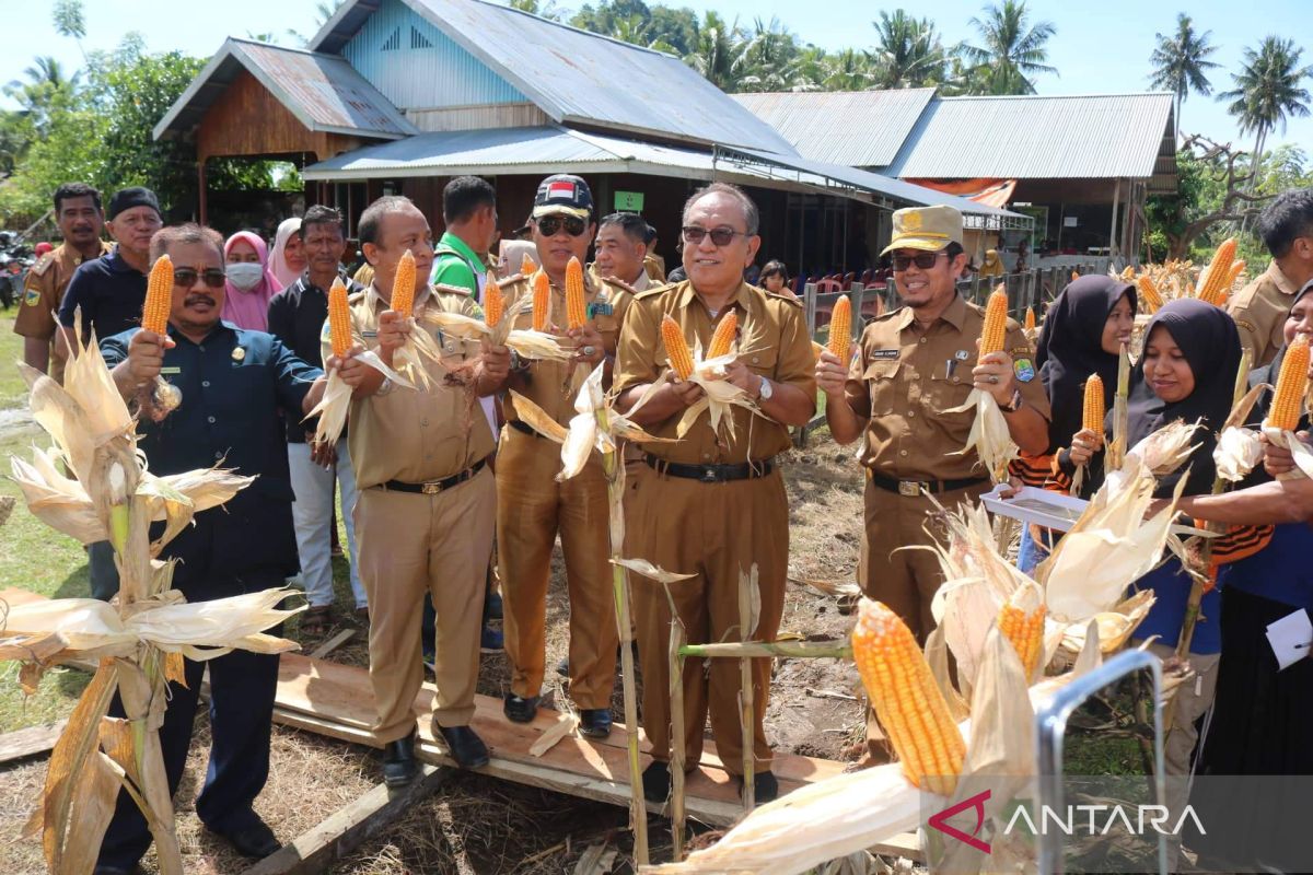 Bupati Buol dorong petani tingkatkan produksi komoditas jagung