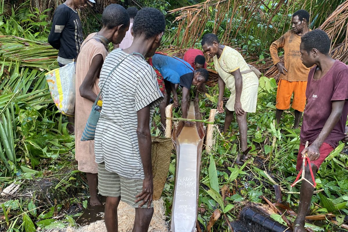 Asmat butuh pendampingan langsung pahami hidup sehat