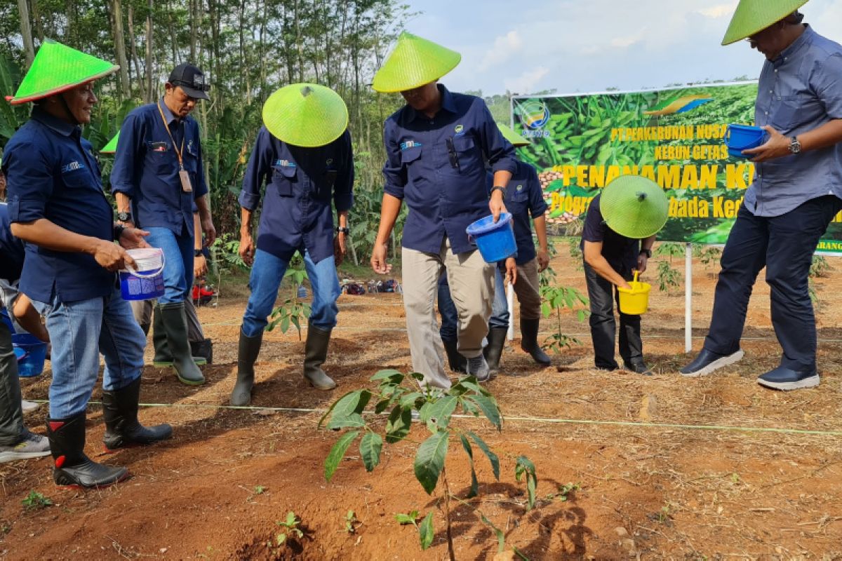 PTPN IX mendukung swasembada kedelai nusantara