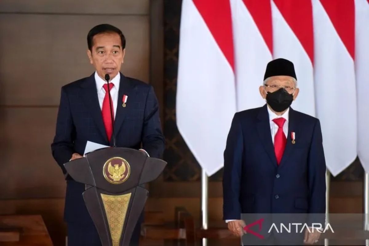 Jokowi bahas kerja sama-investasi dengan UEA setelah menyambangi Ukraina-Rusia