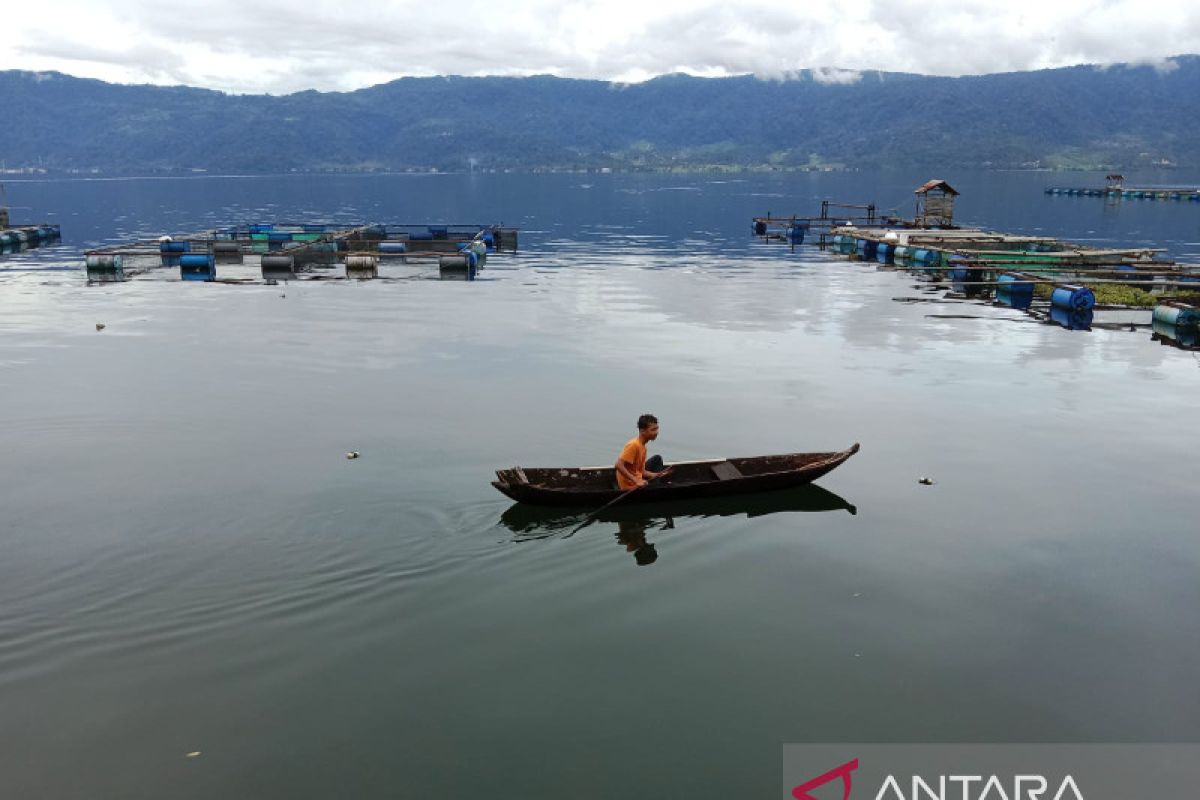 Menjaga  keberadaan selusur Maninjau, ikan danau yang dilindungi