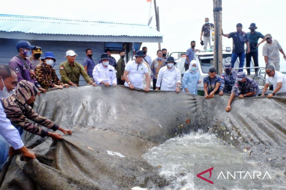 Akan terima ribuan larva dari BPBL Batam, Meranti targetkan jadi pusat larva kakap putih di Riau