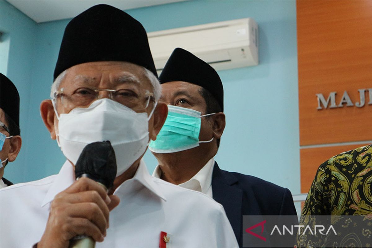 Wapres Ma'ruf Amin siapkan strategi atasi kenaikan harga kurban akibat PMK