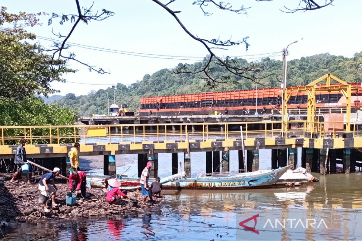 Tumpahan minyak cemari Sungai Donan Cilacap