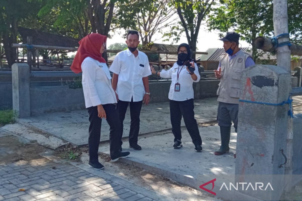 Pasar hewan di Klaten masih sepi