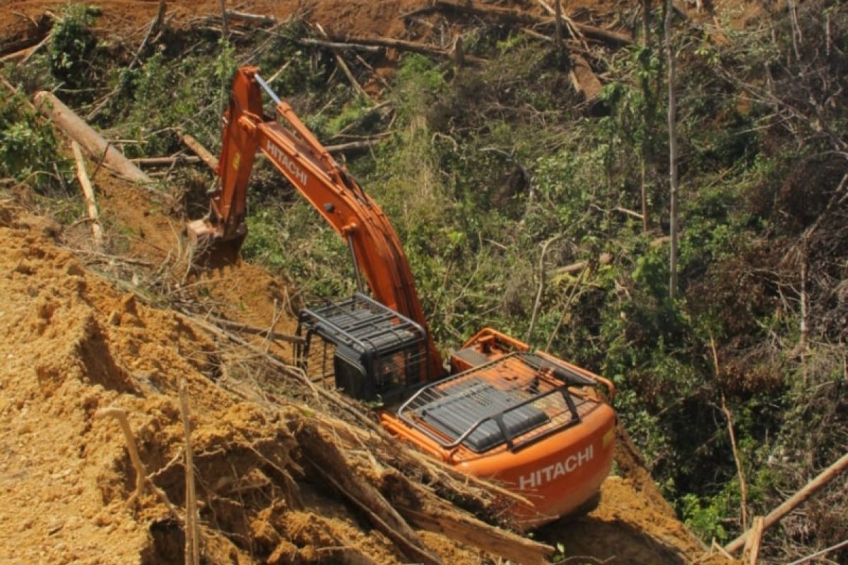 Gubernur Riau minta DLHK usut otak perambahan hutan TNBT Inhu karena rugikan negara