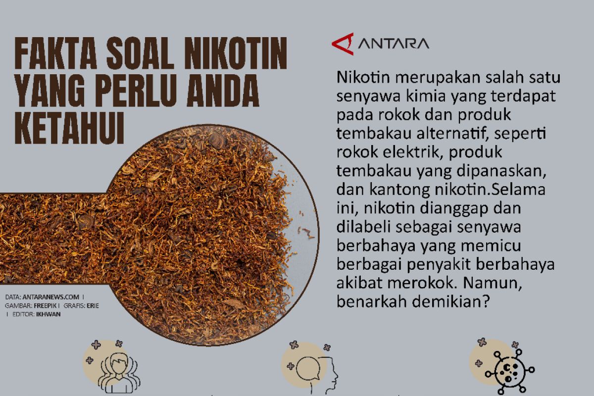 Fakta soal nikotin yang perlu anda ketahui