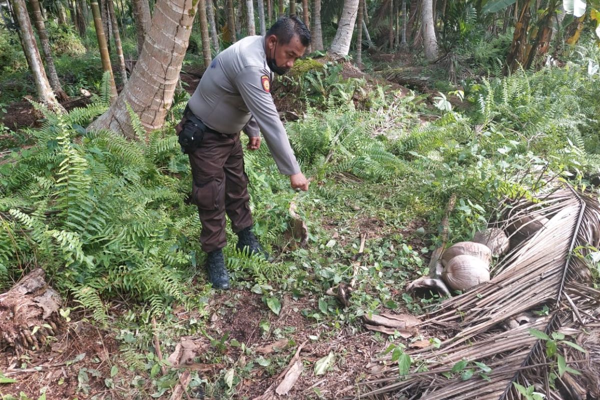 Polisi temukan kerangka manusia di hutan, diduga jasad Masnun yang hilang enam bulan