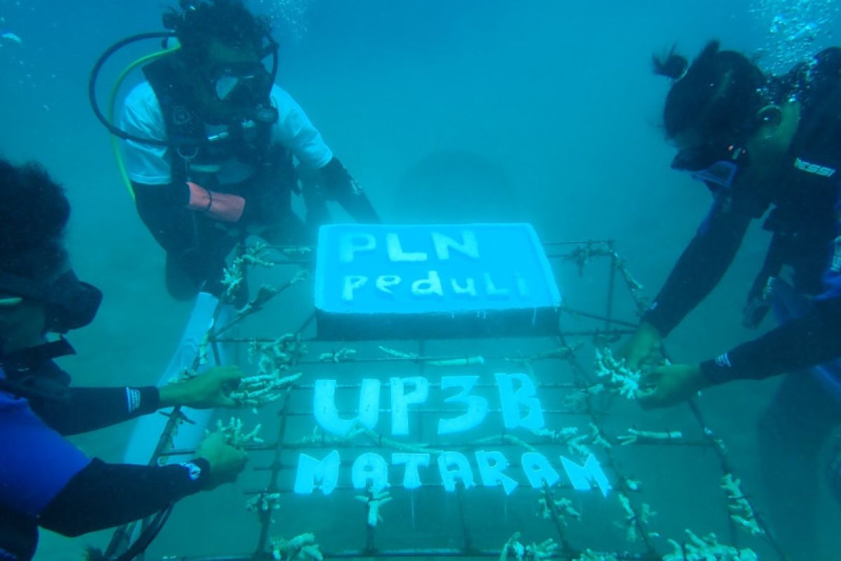 PLN merehabilitasi terumbu karang tiga gili di Lombok Timur