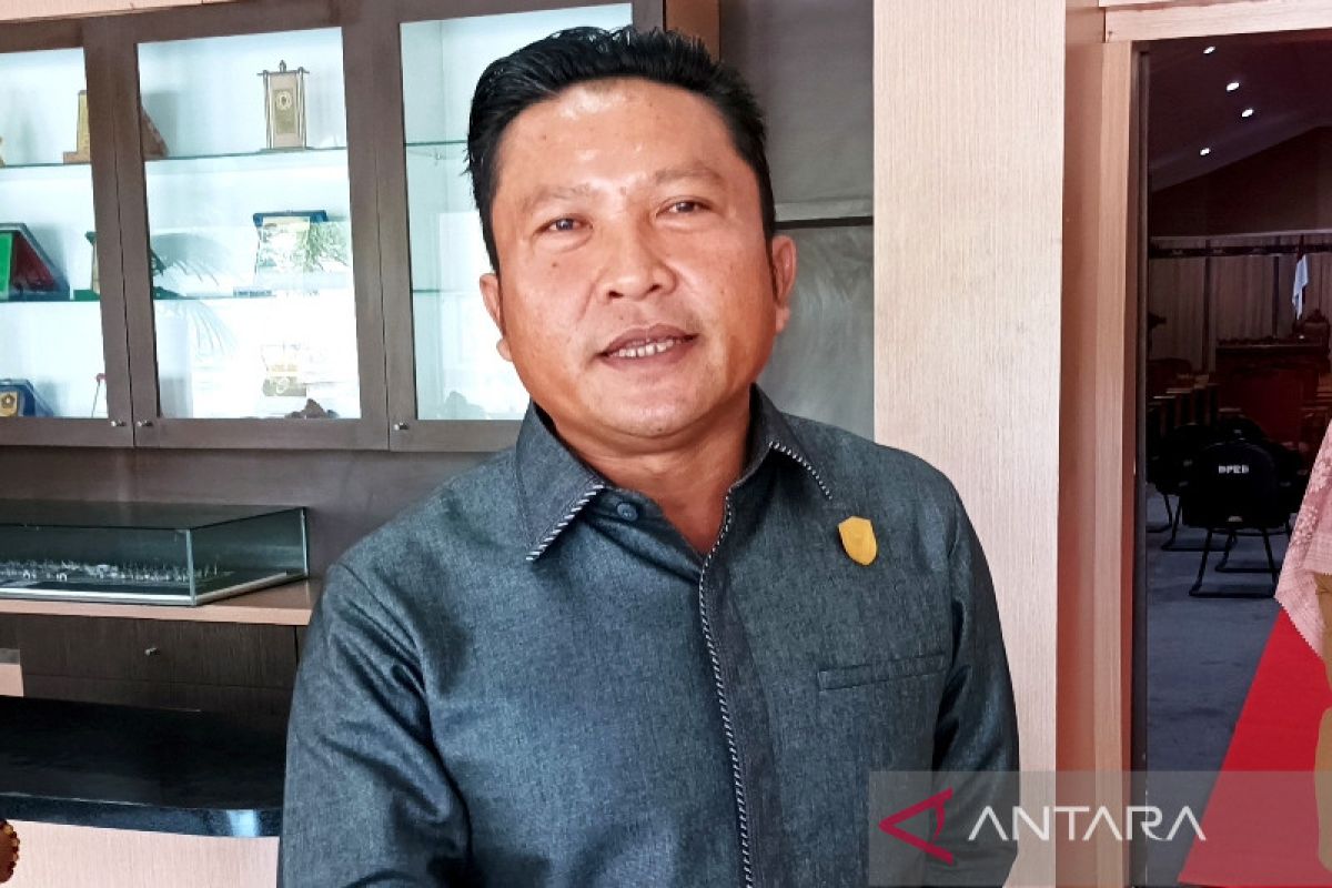 Legislator Kotim: Eks tenaga kontrak layak diberi pesangon