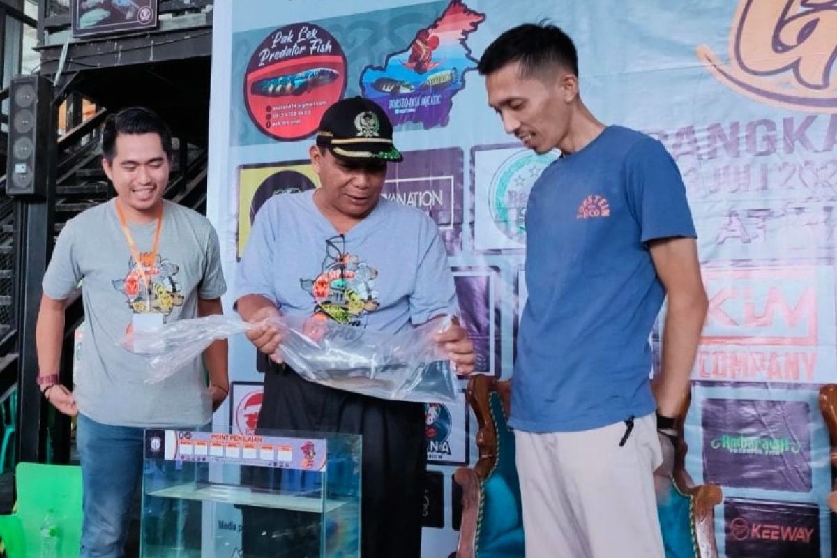 Kontes Channa di Kobar berlangsung semarak, diikuti peserta hingga dari Pulau Jawa