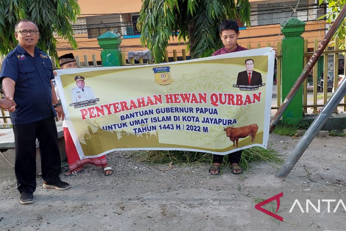 Gubernur Papua Lukas Enembe menyalurkan 31 ekor hewan kurban