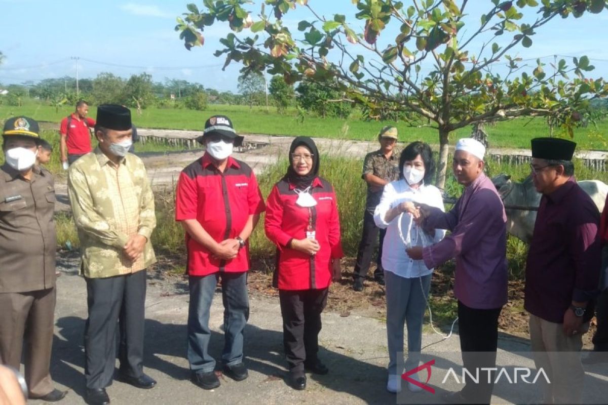 Pemkab Pulang Pisau salurkan 56 hewan kurban