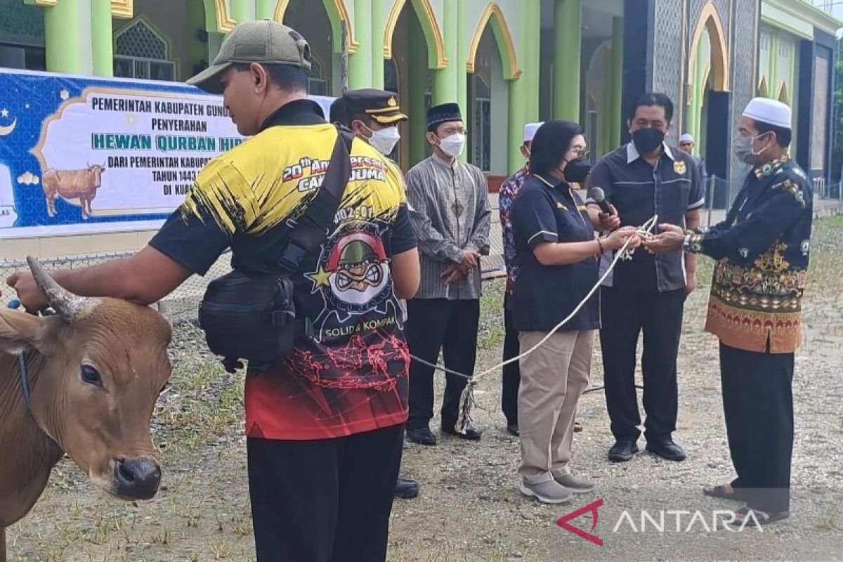 Pemkab Gunung Mas salurkan 21 sapi kurban ke sejumlah kecamatan