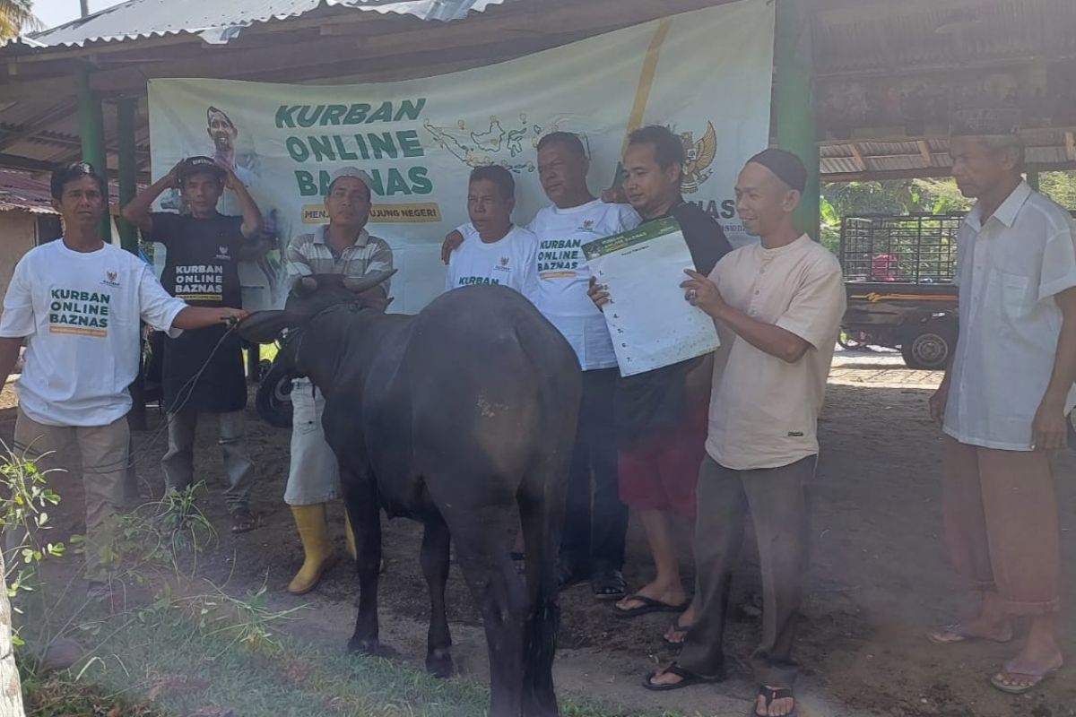 Legislator salurkan hewan kurban dari Baznas RI dan BPKH