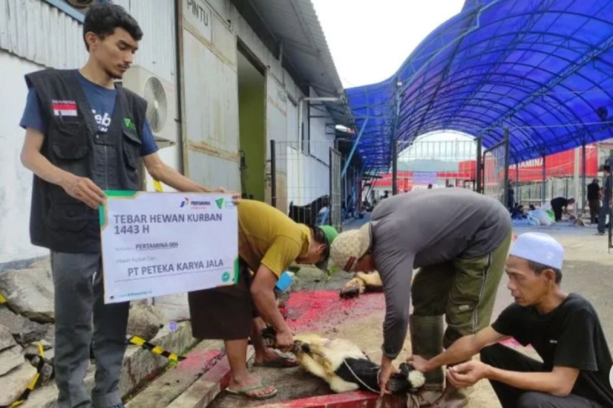 Pertamina Patra Niaga IT Panjang-Dompet Dhuafa salurkan hewan kurban