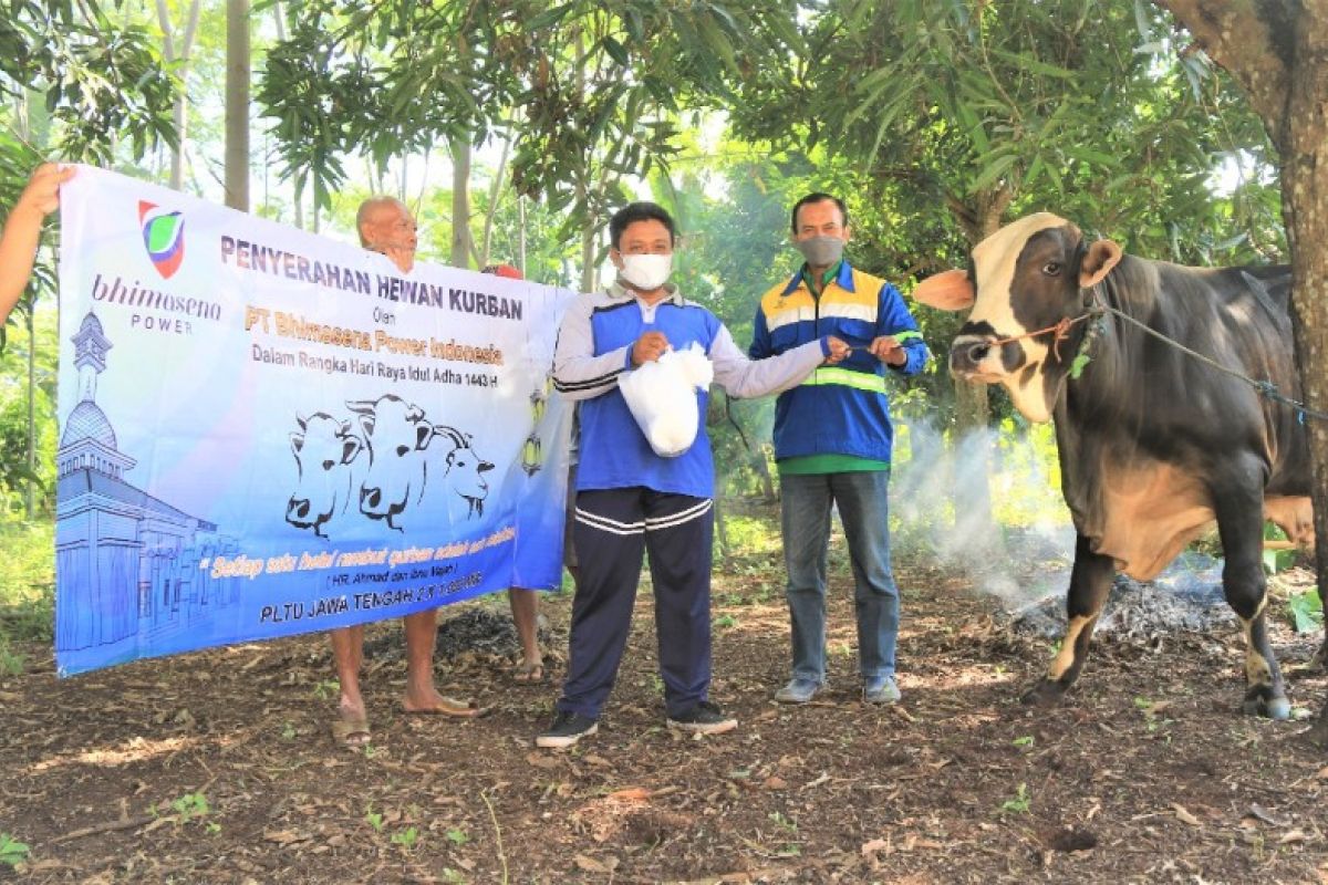 PLTU Batang bagikan 16 hewan kurban di 13 desa terdampak