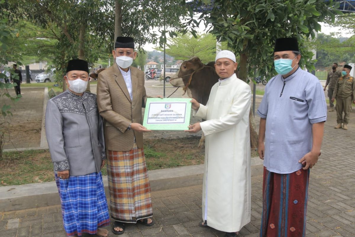 Pemkab Pringsewu serahkan 2 ekor sapi ke panitia kurban masjid agung