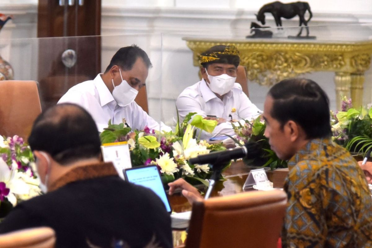 Rapat terbatas bersama Presiden, kawasan industri Kaltara dipastikan ada kemajuan