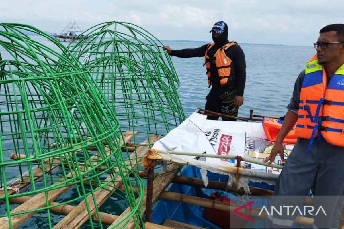 PT Timah tenggelamkan ribuan terumbu karang buatan di laut Bangka