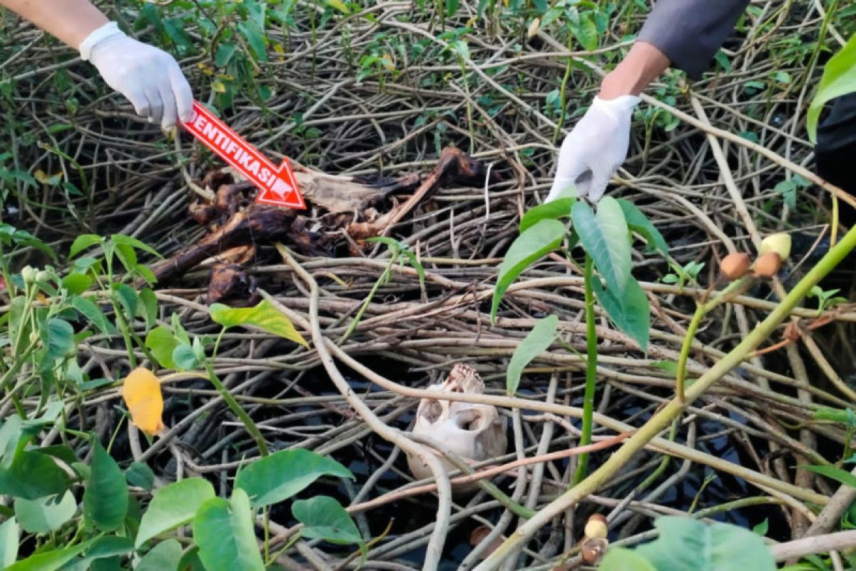 Kerangka manusia ditemukan di sawah Desa Bulungcangkring