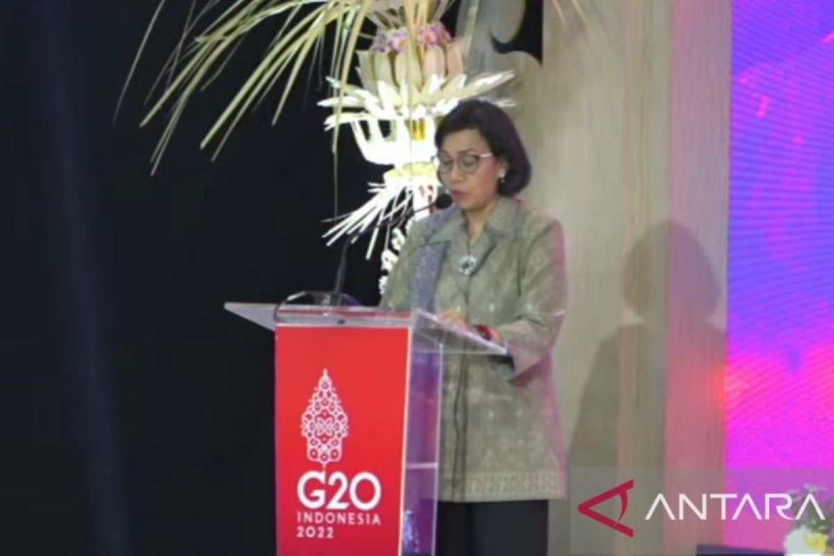 Menkeu Sri Mulyani minta dukungan Brasil pembentukan dana perantara keuangan