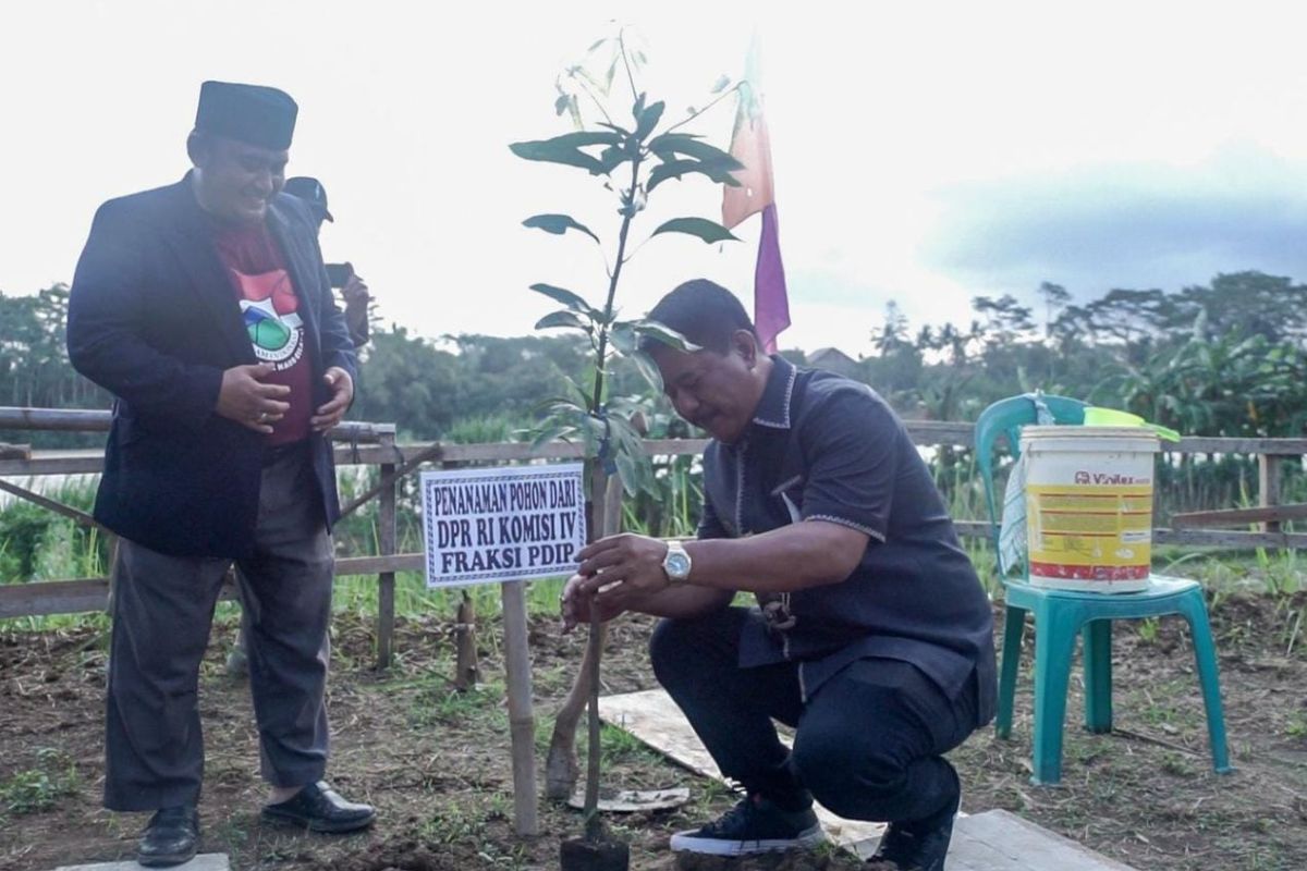 Topang ketahanan pangan, Sunarna ajak milenial tidak takut jadi petani