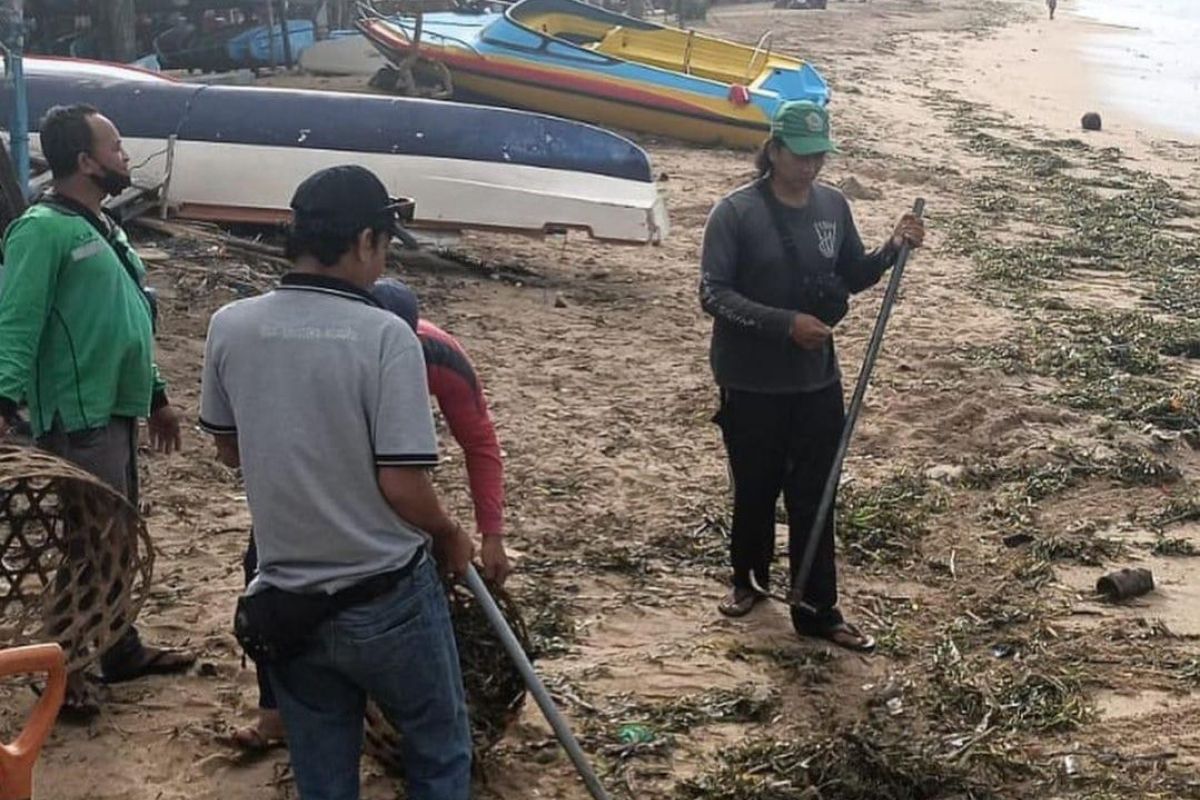 DLHK Denpasar tangani sampah kiriman di Pantai Sanur