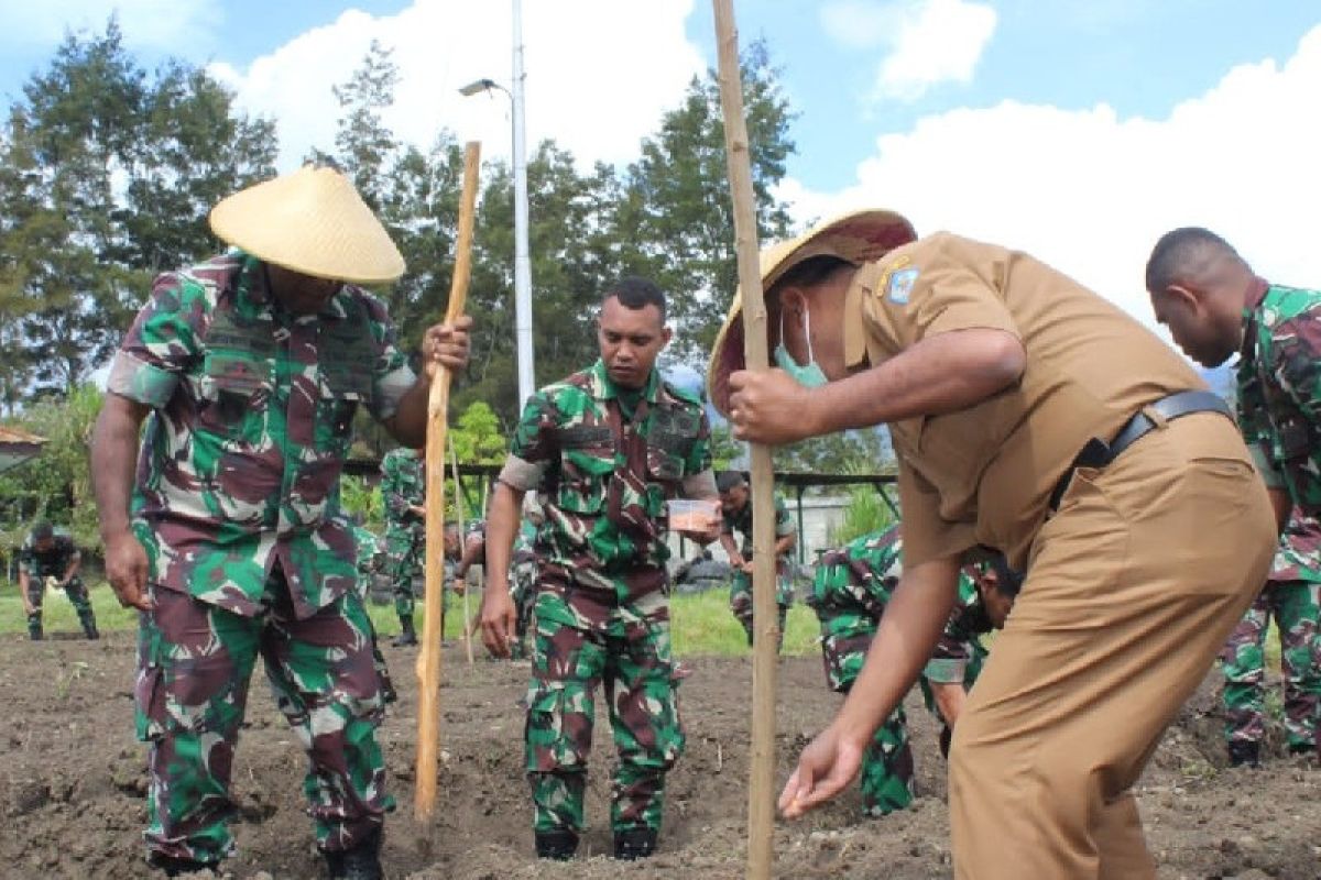 Kodim Jayawijaya galakkan penanaman jagung di lahan tidur