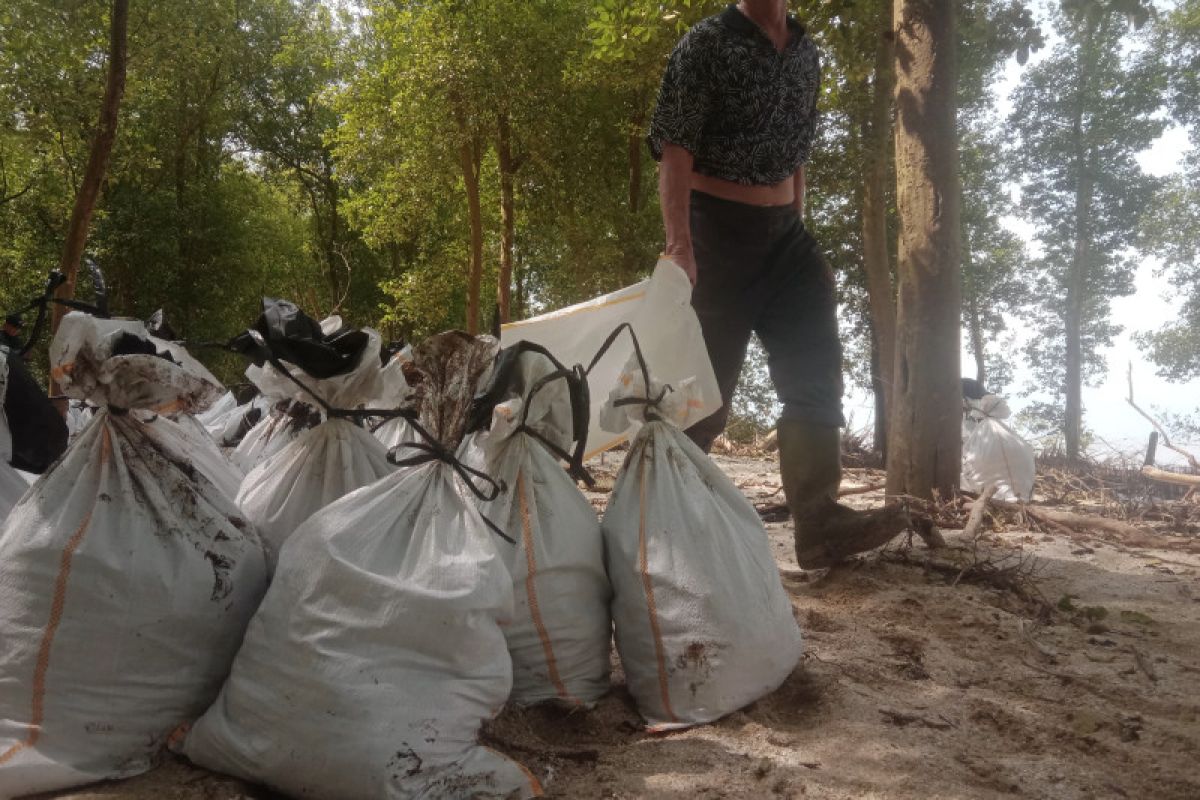 PHE OSES berkomitmen bersihkan ceceran minyak di pesisir pantai Labuhan Maringgai