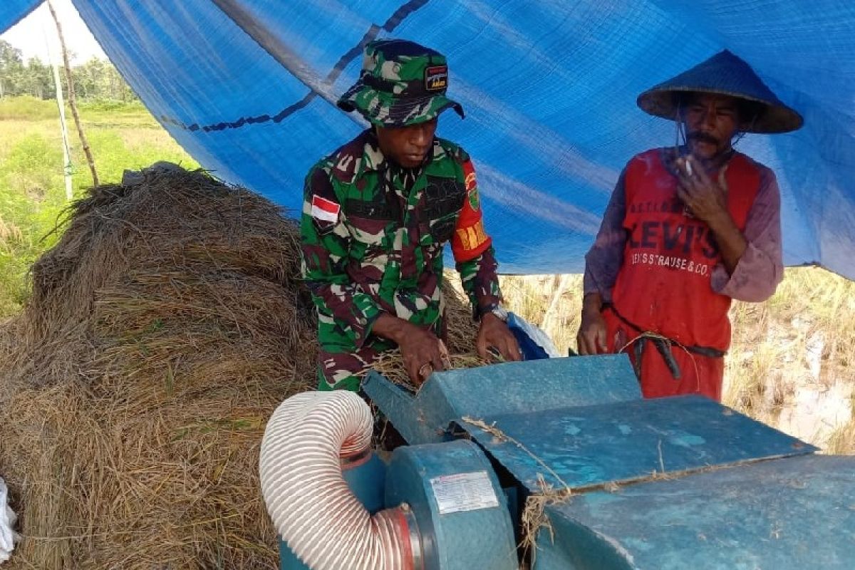 Kodim 1715 Yahukimo bantu petani Dekai garap sawah