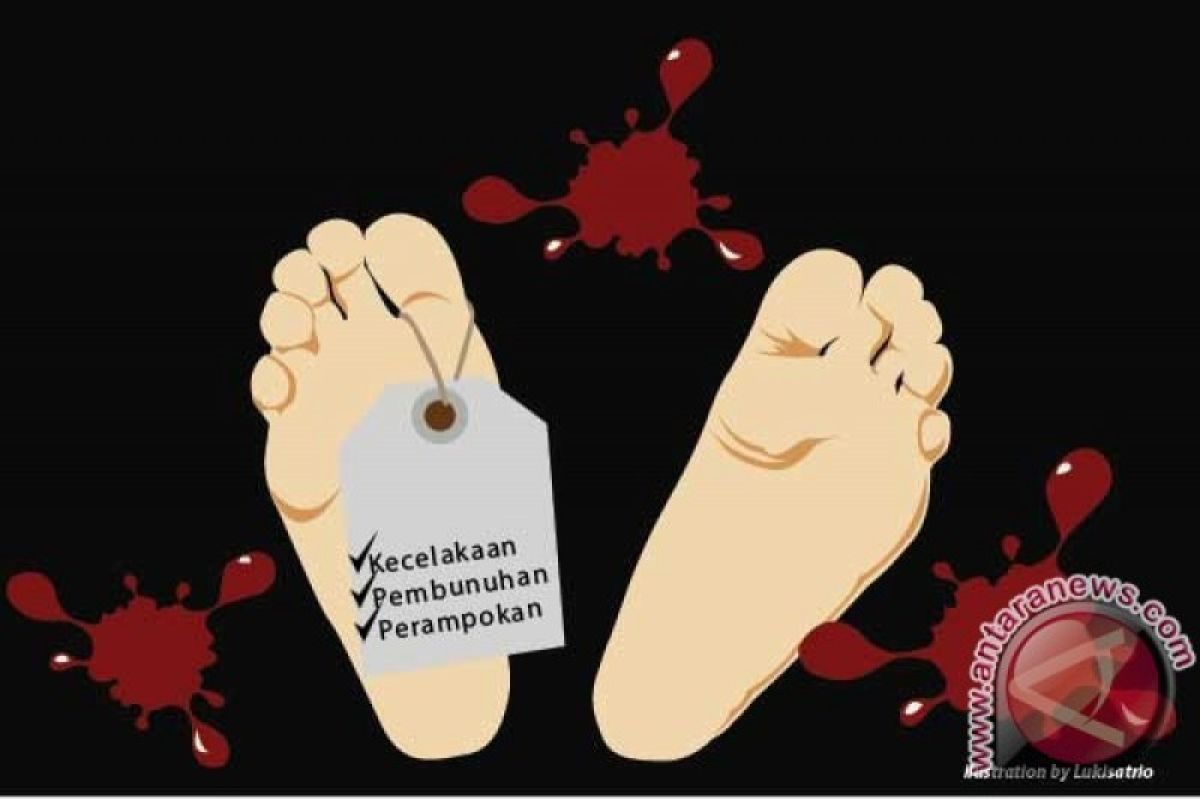 Jasad wanita dalam kardus ditemukan di Mijen