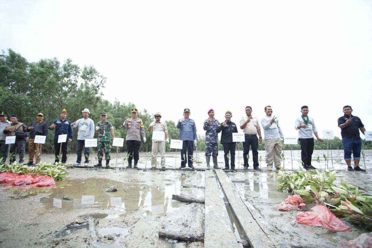 Peringati Hari Mangrove se-Dunia, Wardan ajak masyarakat pelihara populasi mangrove