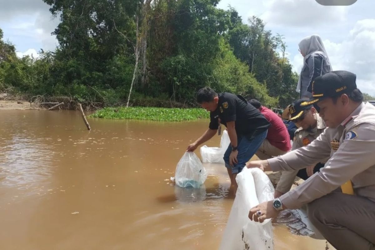 Dinas Perikanan Palangka Raya lepas 65.000 benih ikan di Danau Teluk