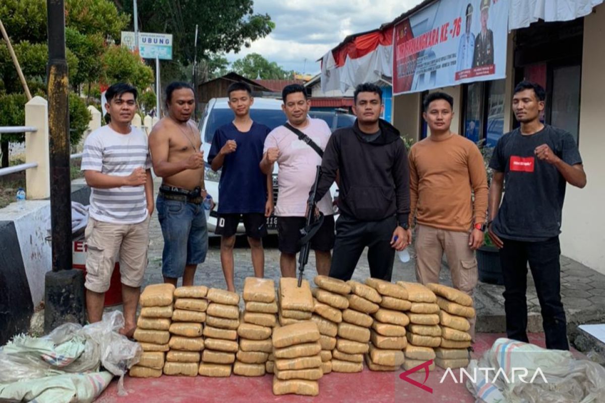 Polres Solok tangkap pengedar ganja dan amankan 75 paket barang bukti