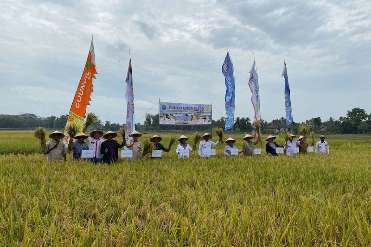 Pemkab OKI kawal program Food Estate jaga ketahanan pangan