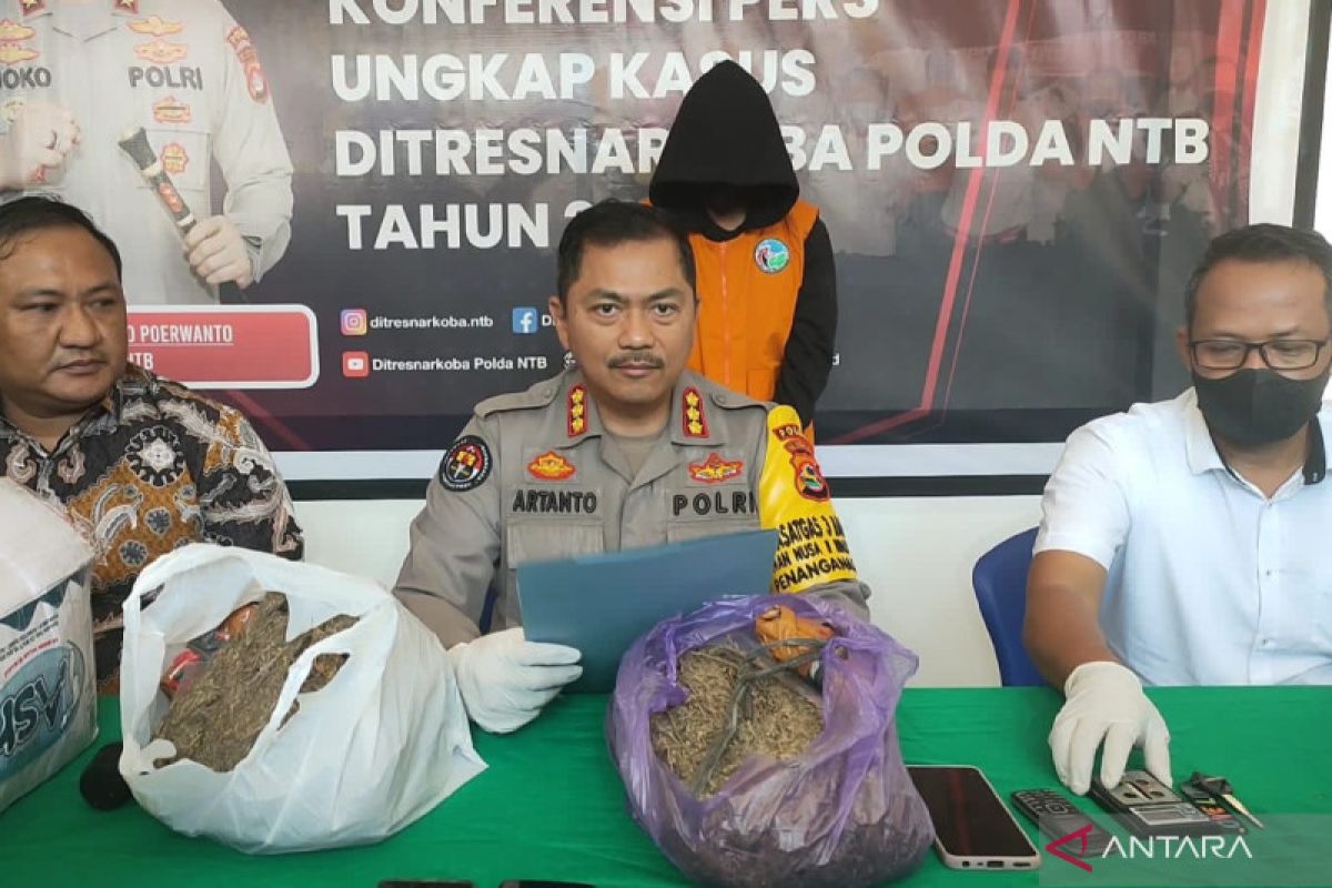 Polisi tangkap pasutri terima paket ganja